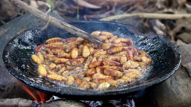 'Survival skills: Find worms & grilled on clay for food - Cooking worm eating delicious'