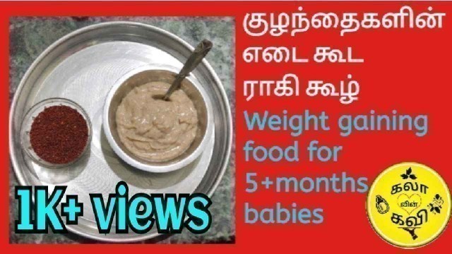 'Ragi kool for 5+months babies in tamil | Ragi milk Porridge| Weight gaining food for babies in tamil'