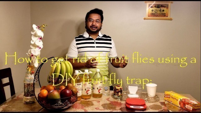 'How to get rid of fruit flies using a DIY fruit fly trap | How To Kill  Fruit Bug | Fruit flies kill'