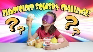 'BLINDFOLDED SQUISHIES CHALLENGE!!! My Squishy Collection!'