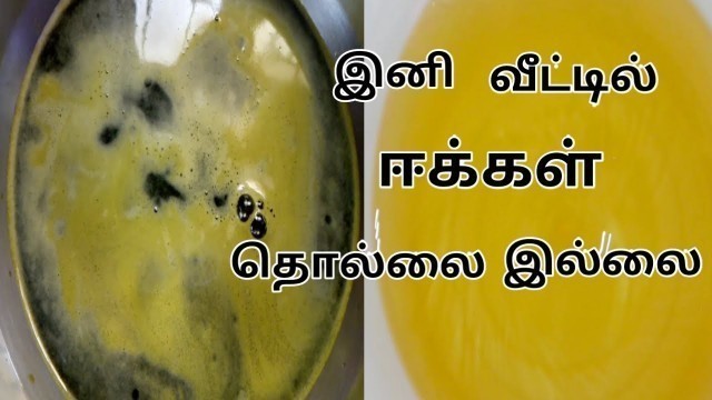 'இனி வீட்டில் ஈக்கள் தொல்லை இல்லை/ How to remove flies from home/Tips to get rid of house flies'