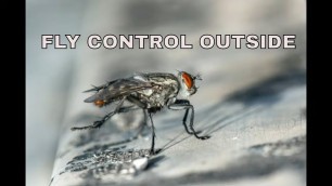 'How to get rid of flies in backyard / fly control outside'