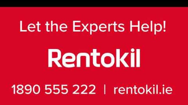 'How To Get Rid Of Flies In Your Home & Business? | Rentokil Pest Control Ireland'