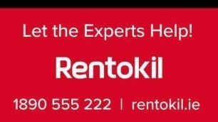 'How To Get Rid Of Flies In Your Home & Business? | Rentokil Pest Control Ireland'