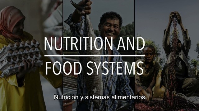 'FAO Serie sobre políticas: Nutrición y sistemas alimentarios (con subtítulos)'