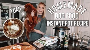 'HOMEMADE & HEALTHY DOG FOOD RECIPE | COOKING FOR YOUR DOG 