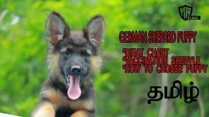 'german shepherd puppy food in tamil ,diet chart ,vaccination,german shepherd dog in tamil'