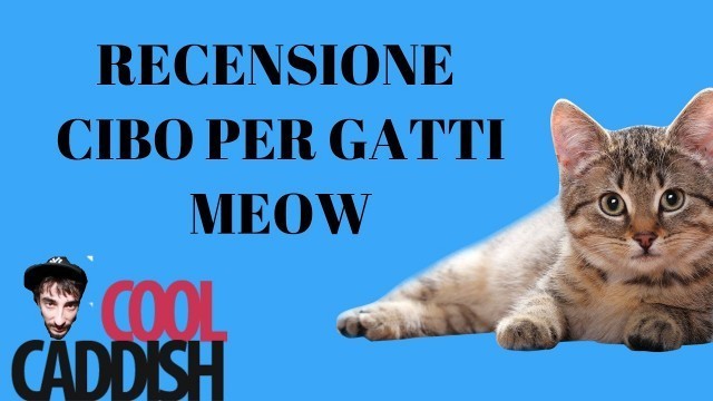 'IL MIGLIOR CIBO PER GATTI X CAT FOOD TESTING'