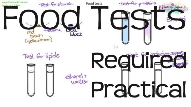 'Food Tests | Required Practical Biology GCSE or iGCSE'