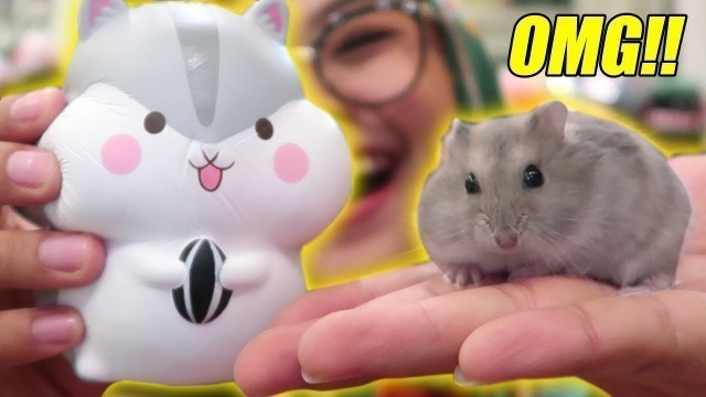 'SQUISHY vs REAL HAMSTER lucu banget 