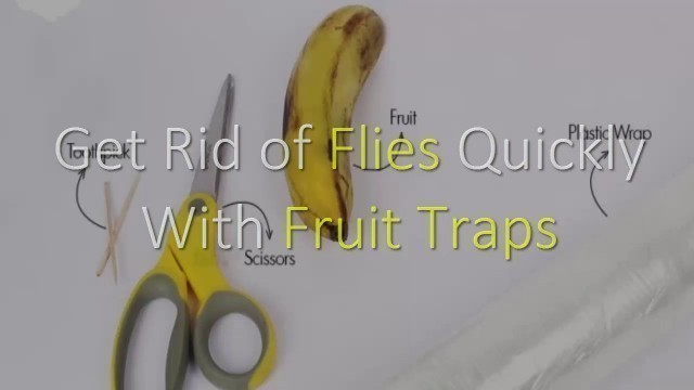 'Get Rid of Flies Quickly With Fruit Traps'