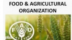 'Food and agriculture organization | FAO | खाद्य एवं कृषि संगठन'