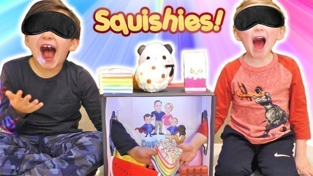 'Kids Real Food Squishy Collection Challenge | DavidsTV'