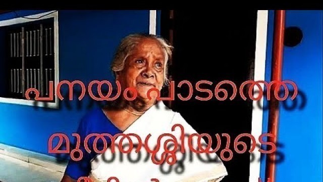 'homely food Rs 50 പനയം പാടത്തെ മുത്തശ്ശിയുടെ വീട്ടിൽ ഊൺ  വിശേഷം'