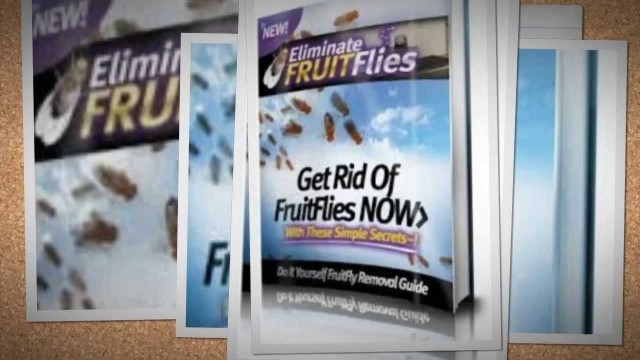 'How Do I Get Rid Of Fruit Flies - DIY Flies Home Remedies'