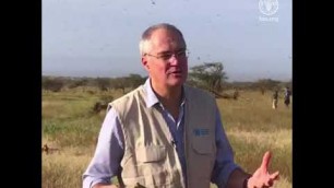 'Desert locust – FAO\'s Dominique Burgeon explains the current situation from Lengusaka, Kenya'