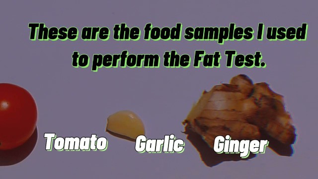 'Test for Fat Home Experiment in Food samples | STIFHANIE VICENTE - BMLS 2A'