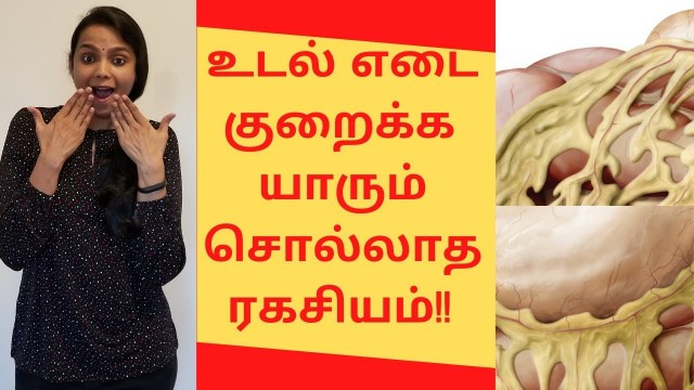 'How to lose weight fast without exercise or diet in Tamil  (2 secrets)'