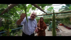 'FAO Bangladesh Roof-Top Garden'